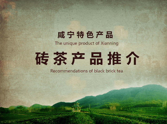 青磚茶：共同走進(jìn)東南亞！