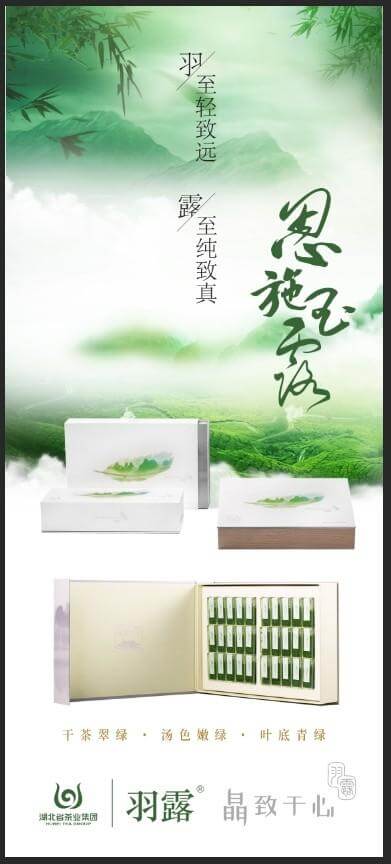 春意盎然，羽露上新
