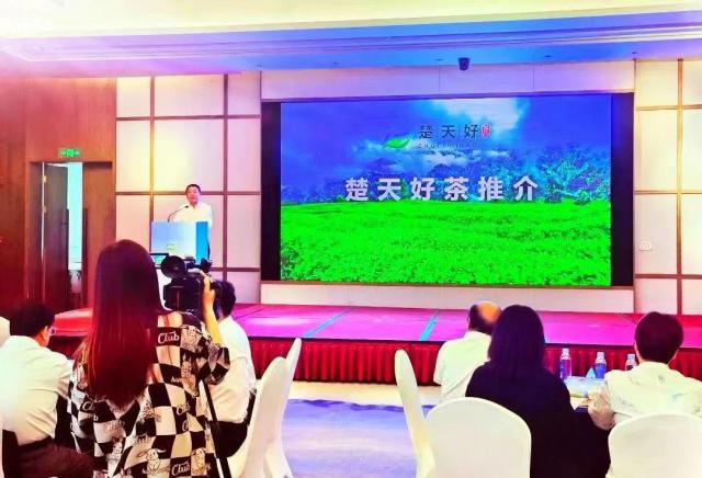 【集團動態(tài)】楚天好茶 相約邕江 ｜ 湖北省茶業(yè)集團走進(jìn)楚天好茶沿海行?東盟茶會